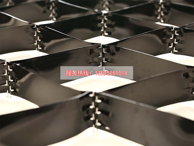 双向高强PET插接土工格室