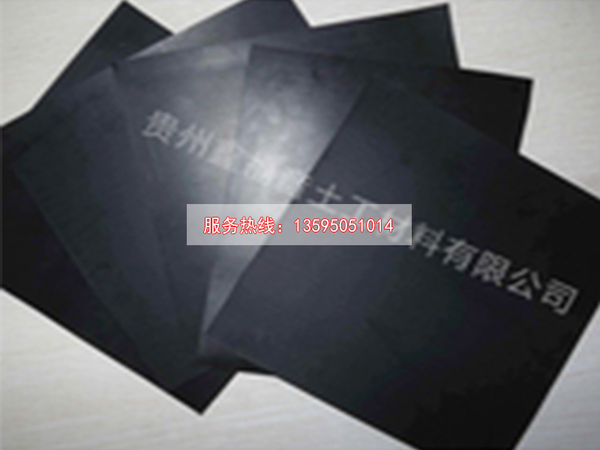HDPE土工膜——广西土工膜